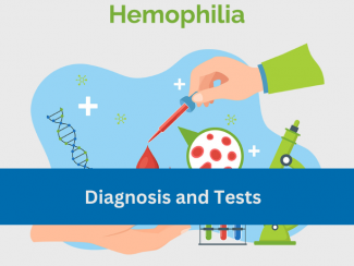 Graphic image signifying hemophilia with the text hemophilia and Diagnosis and Tests on blue strip