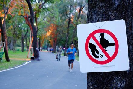 A park where people are walking and a sign on a tree that indicates not to feed birds
