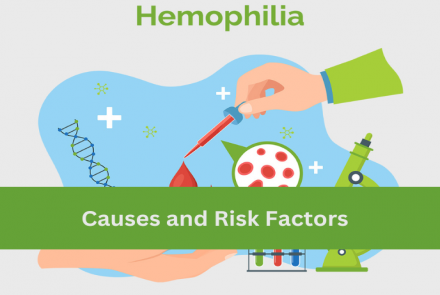 Graphic image signifying bleeding disorder and the text Hemophilia on top and Causes and Risk Factors on a green strip