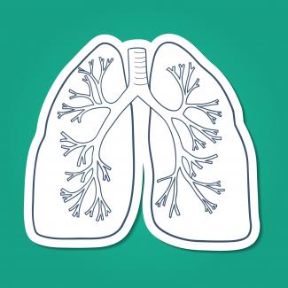 Graphic of a lung 