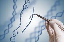 Stock Image representative of Gene Modification