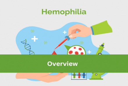 Graphic of Hemophila and the text overlay Overview on a green strip 