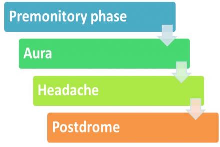 Phases of migraine 