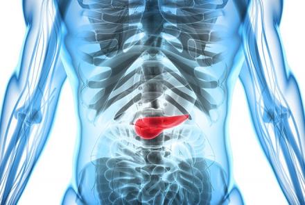 Image of Pancreas in the human body