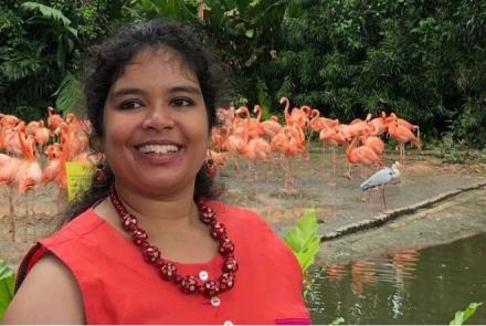 Image: Preksha, autistic woman, in a red dress against a background of pink flamingoes