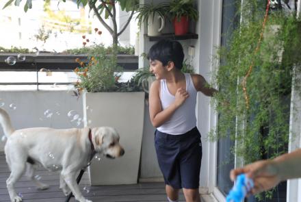 Caesar the dog on the left playing with an autistic boy in shorts and vest 